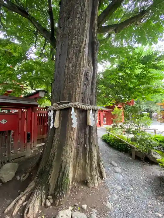 秩父神社(埼玉県)