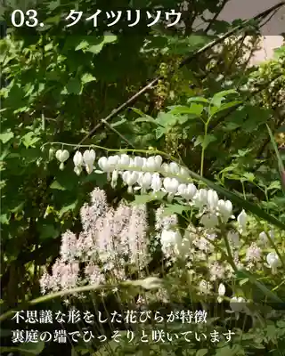 宝光寺(北海道)