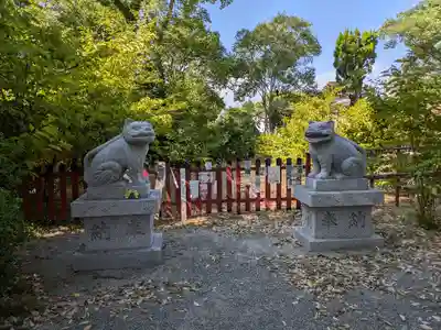 大江神社の狛犬
