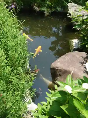 宇賀神社(神奈川県)