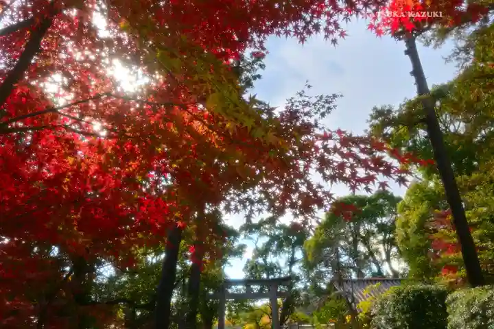 鶴岡八幡宮の自然