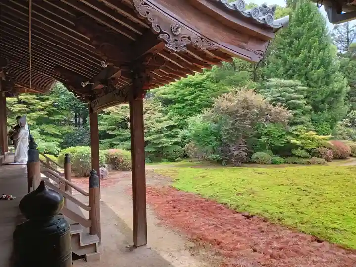 隨心院(随心院)(京都府)