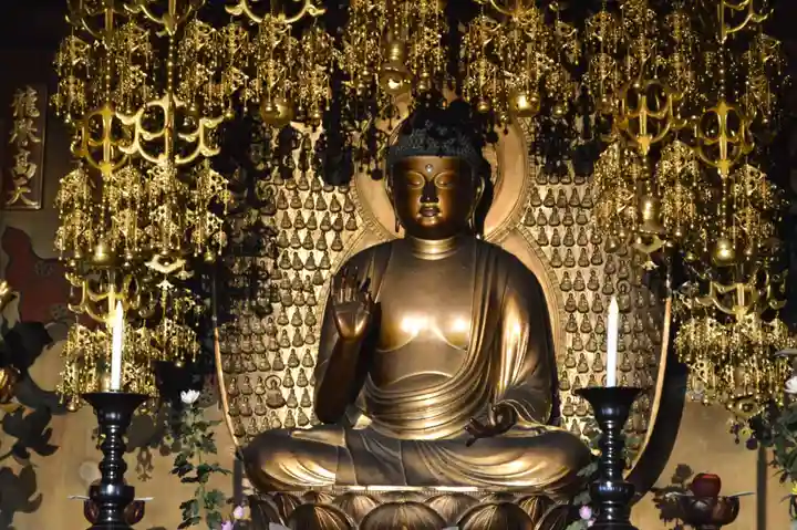 大樹寺(松安院大樹寺)の仏像