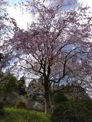 神明神社(村国)(福井県)