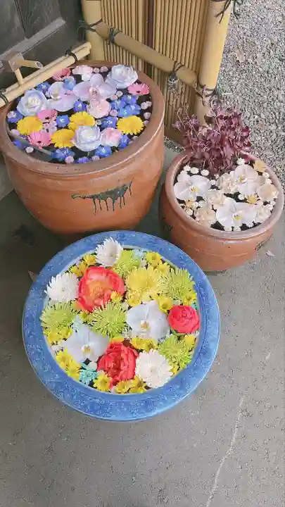 多賀神社の手水舎