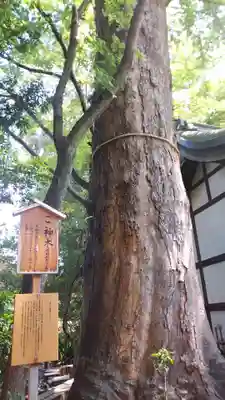川越氷川神社のその他建物