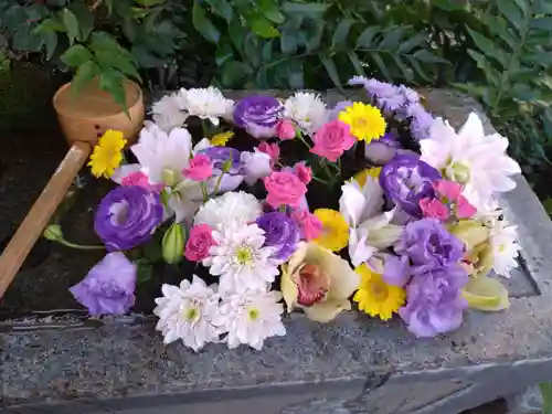 本郷氷川神社(東京都)
