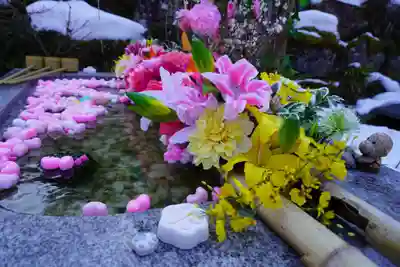 陽林寺の手水舎