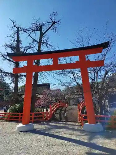 賀茂御祖神社（下鴨神社）の鳥居