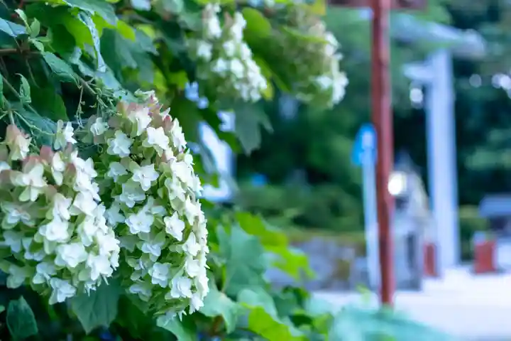 白山比咩神社(石川県)