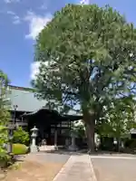 普明寺(東京都)