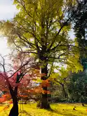 土津神社｜こどもと出世の神さまの自然