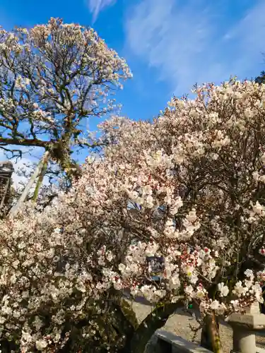 成田山新勝寺(千葉県)