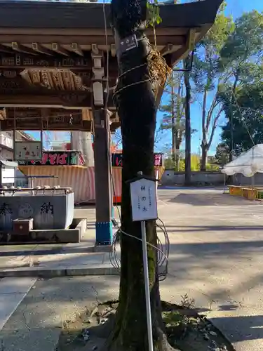 一言主神社(茨城県)