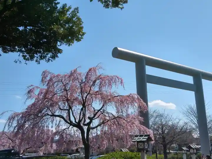 櫻木神社の{uncategorized: "未分類", other: "その他", undefined: "問題あり", building: "その他建物", grave: "お墓", sacred_gate: "鳥居", guardian: "狛犬", statue: "像", buddha: "仏像", history: "歴史", nature: "自然", garden: "庭園", animal: "動物", pagoda: "塔", temizu: "手水舎", mountain_gate: "山門・神門", sanctuary: "本殿・本堂", subordinate: "末社・摂社", art: "芸術", scenery: "景色", jizo: "地蔵", ema: "絵馬", goshuin: "御朱印", omikuji: "おみくじ", items: "授与品その他", amulet: "お守り", goshuincho: "御朱印帳", eats: "食事", festival: "お祭り", votive_dance: "神楽", shichigosan: "七五三参", wedding: "結婚式", experience: "体験その他", initially: "初詣", around: "周辺", anti_infection: "感染症対策"}