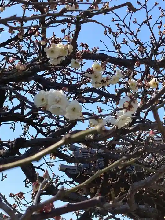 西新井大師総持寺(東京都)
