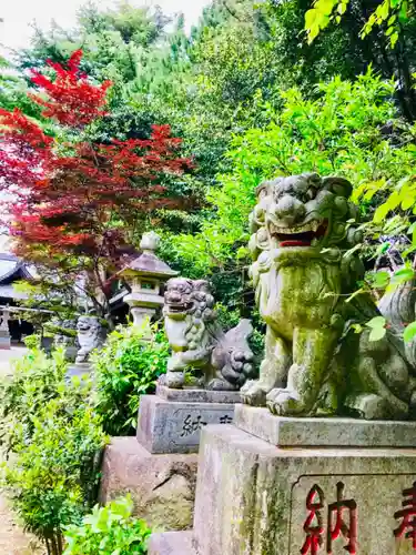 大宝八幡宮の狛犬