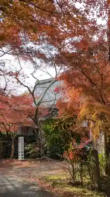 乗願寺(京都府)