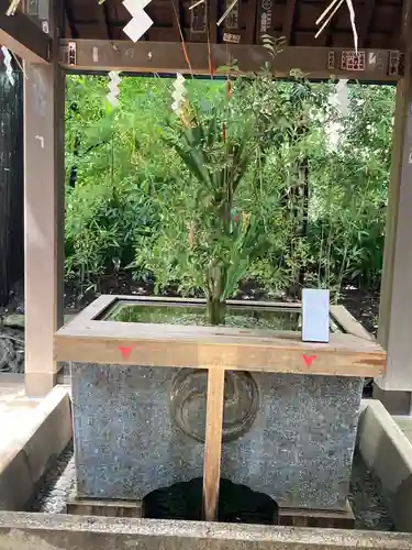 赤坂氷川神社の手水