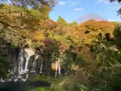 熊野神社の景色