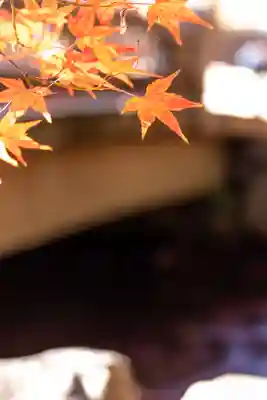 賀茂別雷神社（上賀茂神社）(京都府)