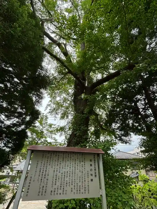 玉前神社の{uncategorized: "未分類", other: "その他", undefined: "問題あり", building: "その他建物", grave: "お墓", sacred_gate: "鳥居", guardian: "狛犬", statue: "像", buddha: "仏像", history: "歴史", nature: "自然", garden: "庭園", animal: "動物", pagoda: "塔", temizu: "手水舎", mountain_gate: "山門・神門", sanctuary: "本殿・本堂", subordinate: "末社・摂社", art: "芸術", scenery: "景色", jizo: "地蔵", ema: "絵馬", goshuin: "御朱印", omikuji: "おみくじ", items: "授与品その他", amulet: "お守り", goshuincho: "御朱印帳", eats: "食事", festival: "お祭り", votive_dance: "神楽", shichigosan: "七五三参", wedding: "結婚式", experience: "体験その他", initially: "初詣", around: "周辺", anti_infection: "感染症対策"}