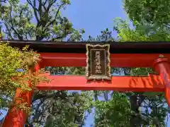 馬橋稲荷神社の鳥居