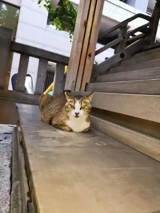 小野照崎神社(東京都)