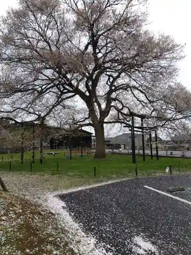 霊泉寺(福井県)