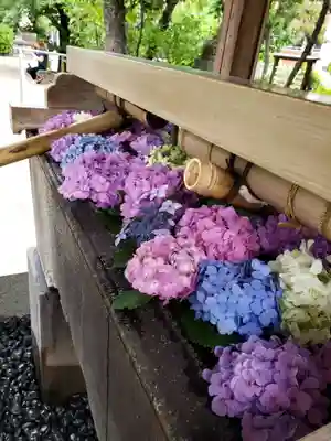 鳩森八幡神社の手水舎