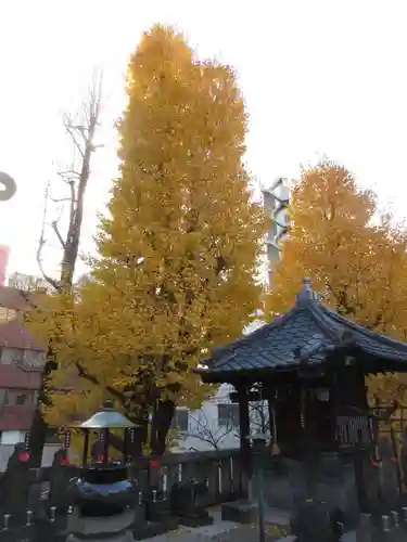 待乳山聖天（本龍院）(東京都)