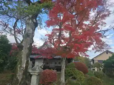 安養院(滋賀県)