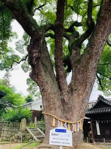 艮神社の自然