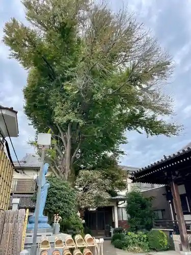 自性院(東京都)
