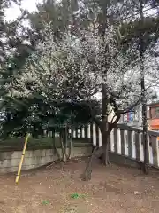 尉殿神社の自然