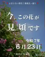 宝光寺(北海道)