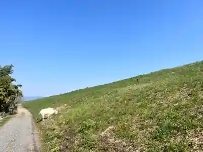 心鏡寺の{uncategorized: "未分類", other: "その他", undefined: "問題あり", building: "その他建物", grave: "お墓", sacred_gate: "鳥居", guardian: "狛犬", statue: "像", buddha: "仏像", history: "歴史", nature: "自然", garden: "庭園", animal: "動物", pagoda: "塔", temizu: "手水舎", mountain_gate: "山門・神門", sanctuary: "本殿・本堂", subordinate: "末社・摂社", art: "芸術", scenery: "景色", jizo: "地蔵", ema: "絵馬", goshuin: "御朱印", omikuji: "おみくじ", items: "授与品その他", amulet: "お守り", goshuincho: "御朱印帳", eats: "食事", festival: "お祭り", votive_dance: "神楽", shichigosan: "七五三参", wedding: "結婚式", experience: "体験その他", initially: "初詣", around: "周辺", anti_infection: "感染症対策"}