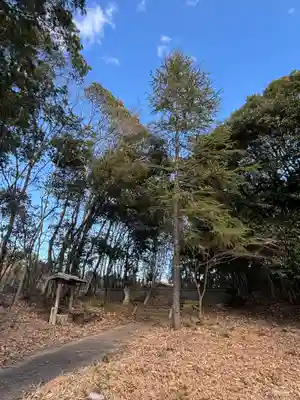 天満神社(兵庫県)