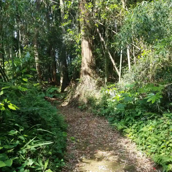 香取神社の自然