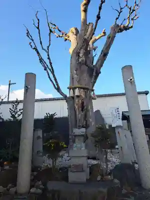 甲斐奈神社(山梨県)