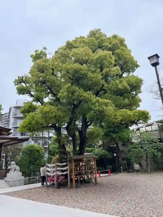 蒲田八幡神社(東京都)