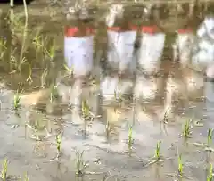 山家神社のお祭り