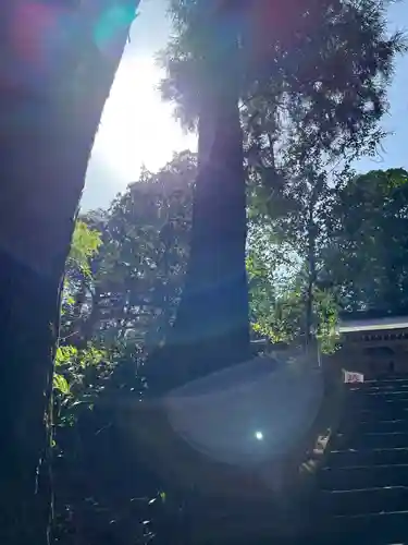 大宮温泉神社の自然