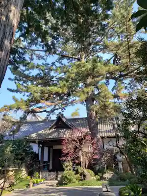 玄国寺(東京都)