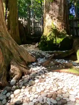 玉置神社(奈良県)