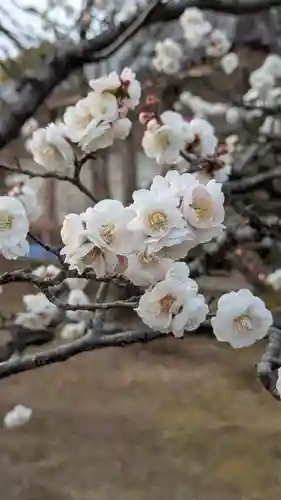  智積院(京都府)
