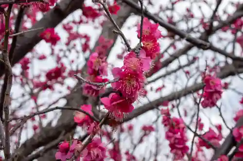 朝日森天満宮(栃木県)