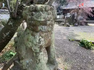 藤白神社の狛犬