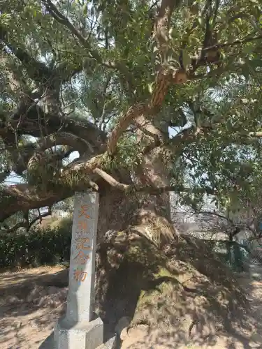 北野天満宮の{uncategorized: "未分類", other: "その他", undefined: "問題あり", building: "その他建物", grave: "お墓", sacred_gate: "鳥居", guardian: "狛犬", statue: "像", buddha: "仏像", history: "歴史", nature: "自然", garden: "庭園", animal: "動物", pagoda: "塔", temizu: "手水舎", mountain_gate: "山門・神門", sanctuary: "本殿・本堂", subordinate: "末社・摂社", art: "芸術", scenery: "景色", jizo: "地蔵", ema: "絵馬", goshuin: "御朱印", omikuji: "おみくじ", items: "授与品その他", amulet: "お守り", goshuincho: "御朱印帳", eats: "食事", festival: "お祭り", votive_dance: "神楽", shichigosan: "七五三参", wedding: "結婚式", experience: "体験その他", initially: "初詣", around: "周辺", anti_infection: "感染症対策"}