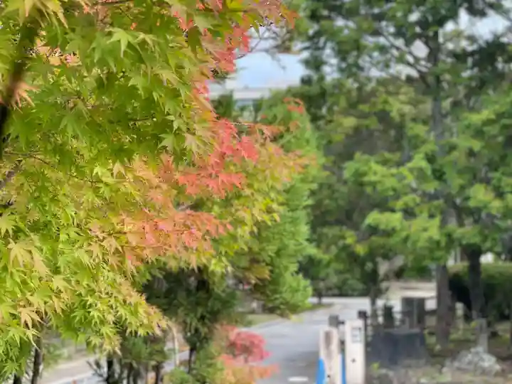 伊勢の国 四天王寺の自然
